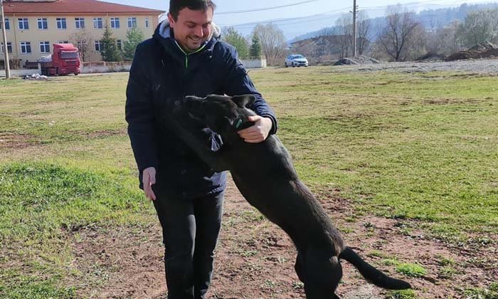 Mengen’deki Sokak Hayvanları Evlerine Döndü