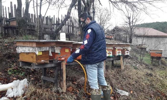 Mengen’de Arılı Kovanlara Oksalik Asit Uygulaması