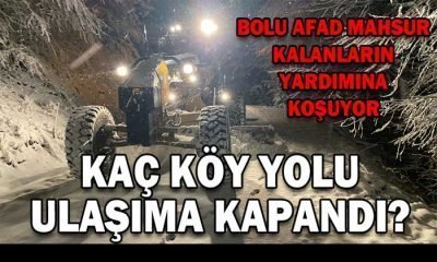 BOLU’DA KAÇ KÖY YOLU ULAŞIMA KAPANDI?
