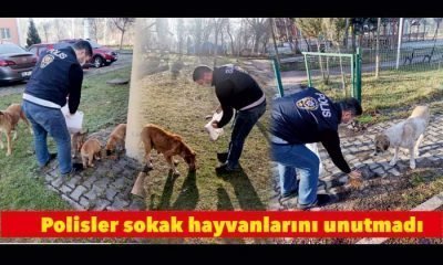 Polisler sokak hayvanlarını unutmadı