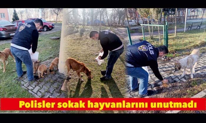 Polisler sokak hayvanlarını unutmadı