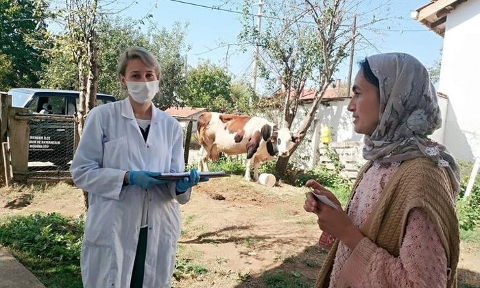 Büyükbaş Hayvanlara Şap ve Çiçek Aşısı Duyurusu