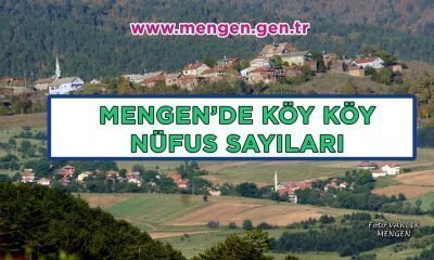 Köy Köy Mengen Nüfusu – www.mengen.gen.tr