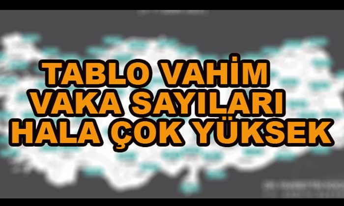 TABLO VAHİM BOLU’DA VAKA SAYILARI HALA YÜKSEK