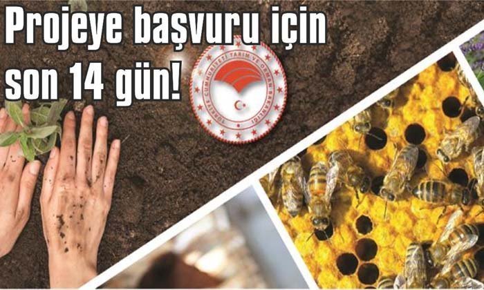 Haydi gelin Mengen’e; 100.000 lira hibe, başvuru süresi uzatıldı!