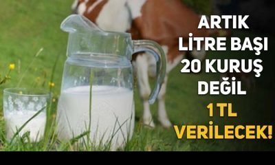 Çiğ süt desteğinde yeni düzenleme!