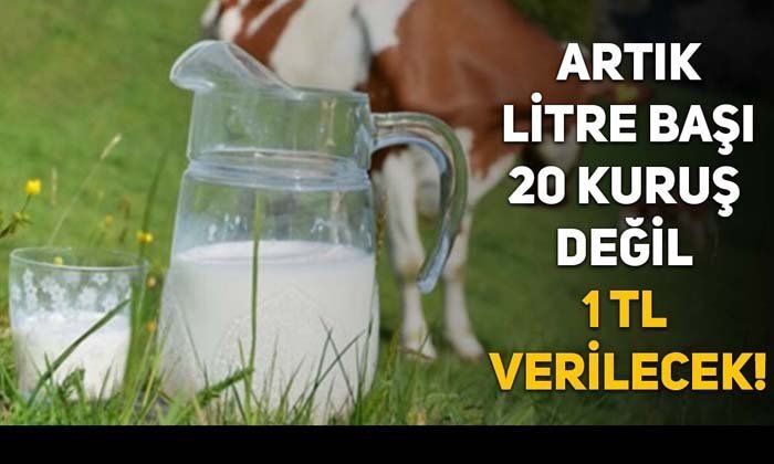 Çiğ süt desteğinde yeni düzenleme!