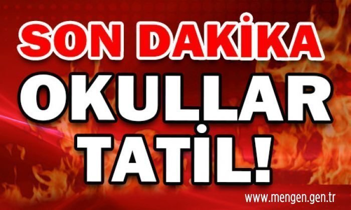 Bolu il genelinde okullarda kar tatili kararı alındı