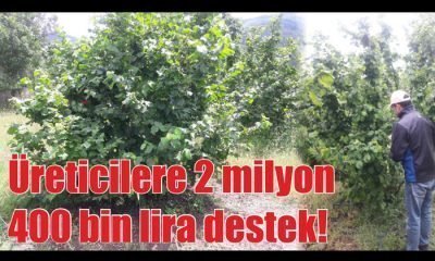 Üreticilere 2 milyon 400 bin lira destek!