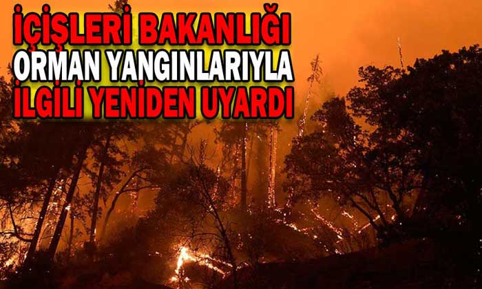 İÇİŞLERİ BAKANLIĞI ORMAN YANGINLARIYLA İLGİLİ YENİDEN UYARDI