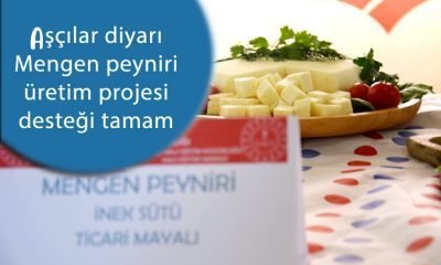 Mengen peyniri üretimi projesi onaylandı