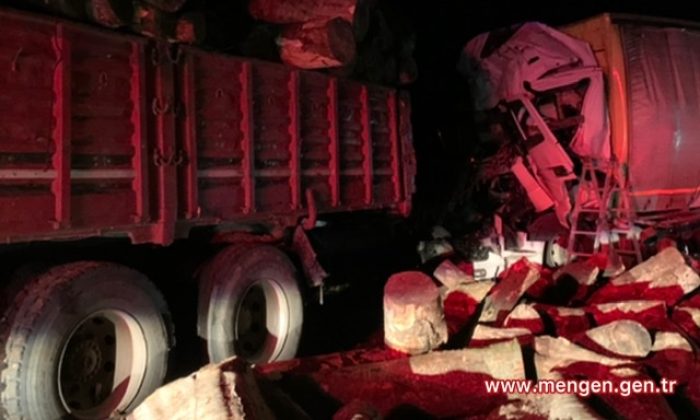 Mengen’de kaza; 1 ölü, 1 yaralı (Video Haber)