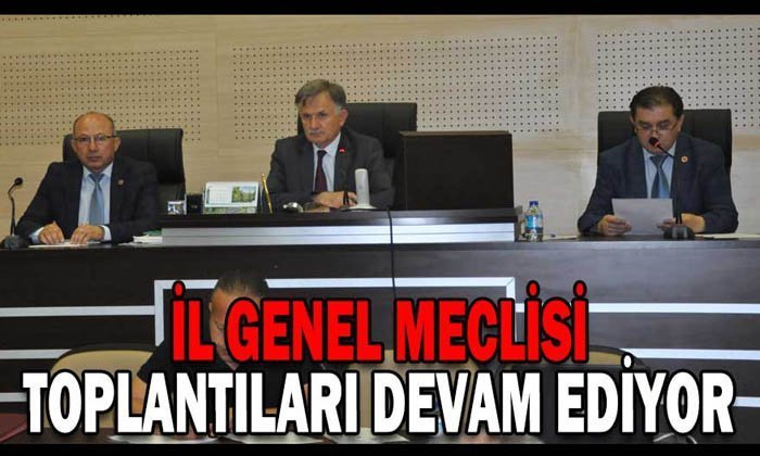 İl Genel Meclisinde Mengen, Gökçesu ve Pazarköy konuşuldu