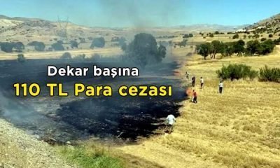Dekar başına 110 TL para cezası uygulanıyor