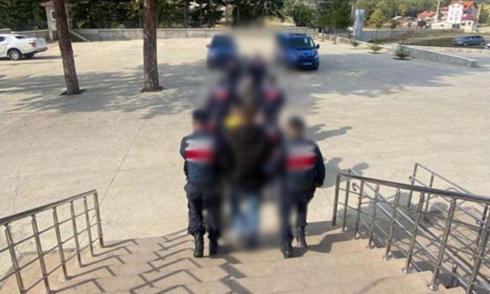 Mengen’de kaçak ağaç kesimi şüphesi