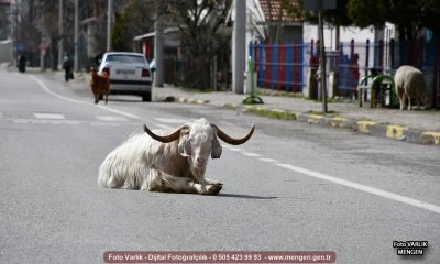 Günün Fotoğrafı – 22 Mart 2023