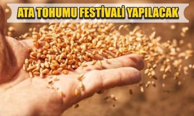 Bolu’da Ata Tohumu Festivali Yapılacak