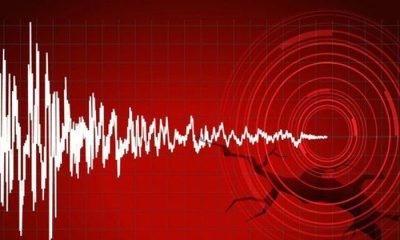 Merkeşler köyü merkezli deprem Mengen’de hissedildi
