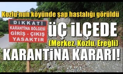 Komşuda Şap Karantinası: Uzmanlardan aşılama uyarısı
