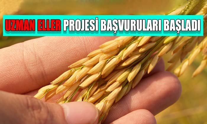 Köyde üretim taahhüdüne hibe desteği