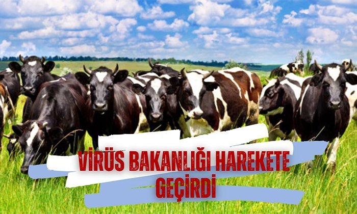 VİRÜS BAKANLIĞI HAREKETE GEÇİRDİ