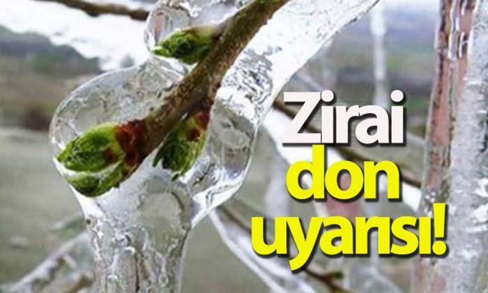 Meteoroloji’den zirai don uyarısı