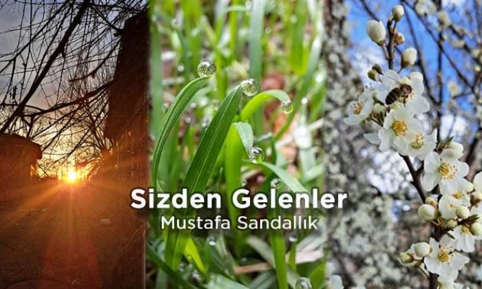 Sizden gelenler – Mustafa Sandallık