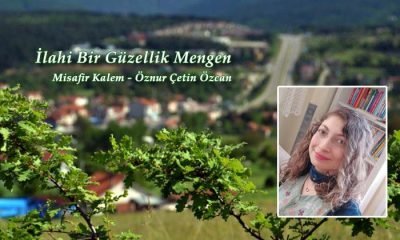 İlahi Bir Güzellik Mengen – Öznur Çetin Özcan