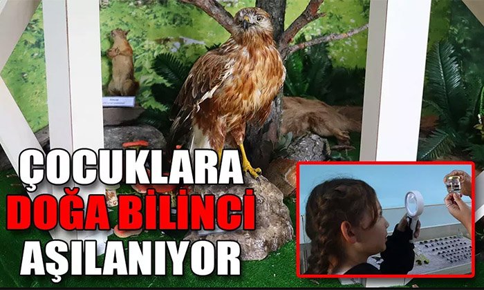Dörtdivan’da çocuklar için doğa bilinci müzesi oluşturuldu
