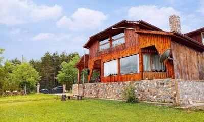 Emeklilikte hayallerini yaşıyorlar: Petunya Orman Evi – Mengen’de cennetin ortasında bir ev