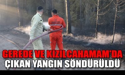 Gerede’de ormanlık alanda çıkan yangın söndürüldü