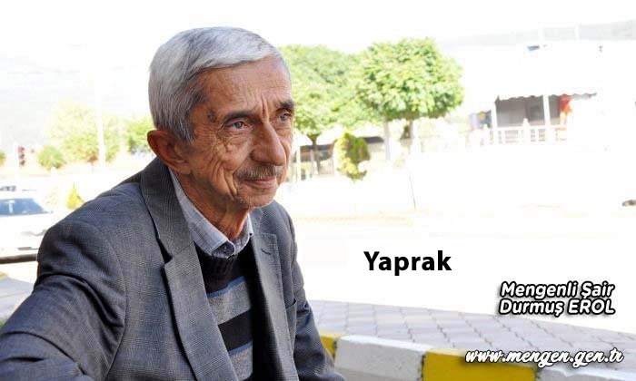 Yaprak          –          Mengenli Şair Durmuş Erol