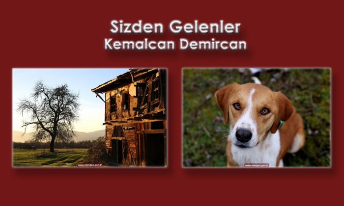 Sizden Gelenler – Kemalcan Demircan