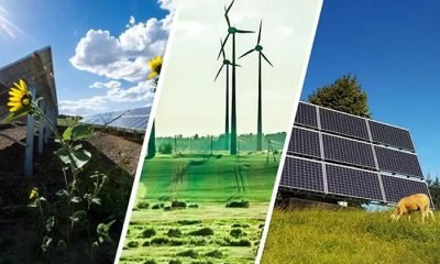 Yenilenebilir enerji kaynağı kullanacak tesislere yüzde 50 kırsal kalkınma desteği