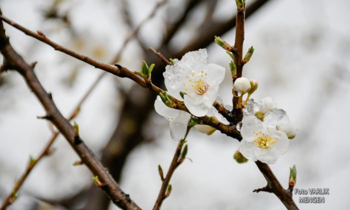 Günün fotoğrafı