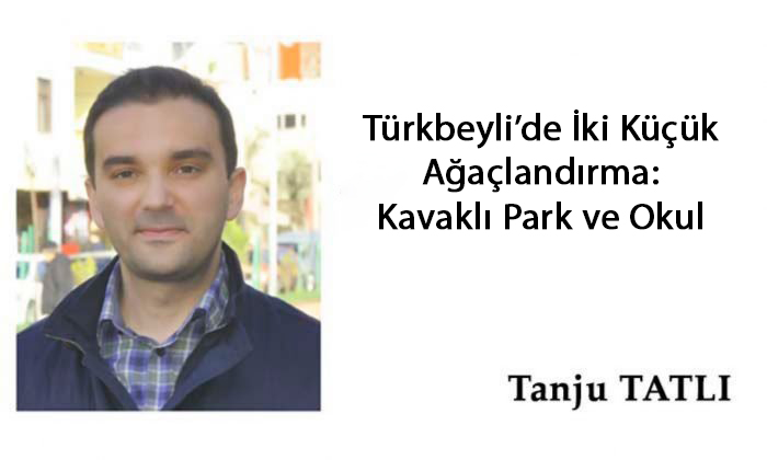 Türkbeyli’de İki Küçük Ağaçlandırma: Kavaklı Park ve Okul    –    Tanju TATLI