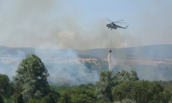 Yeniçağa’da korkutan yangın: Göl yakınındaki sazlık alanda alevler yükseldi!