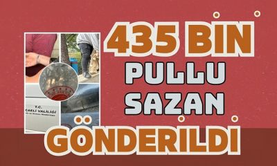 435 BİN PULLU SAZAN GÖNDERİLDİ