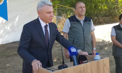 Fiyatı altınla yarışan baharat Batı Karadeniz’in yüzünü güldürüyor