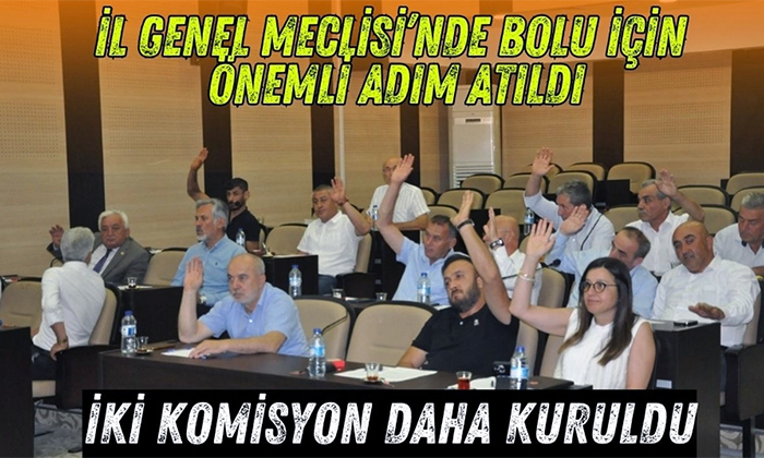 İl Genel Meclisi’nde iki komisyon daha kuruldu!