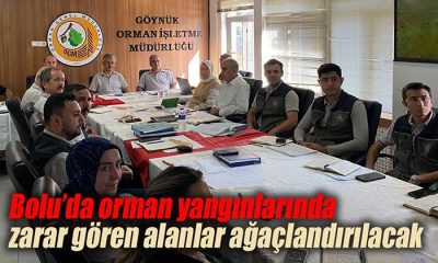 Bolu’da orman yangınlarında zarar gören alanlar ağaçlandırılacak