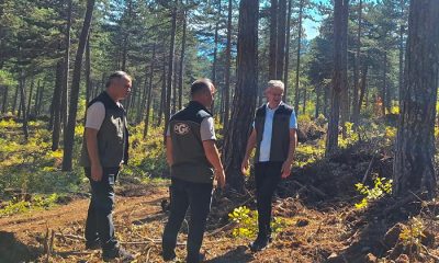 Bölge Müdürü Şentürk, Mengen’deki çalışmaları yerinde inceledi