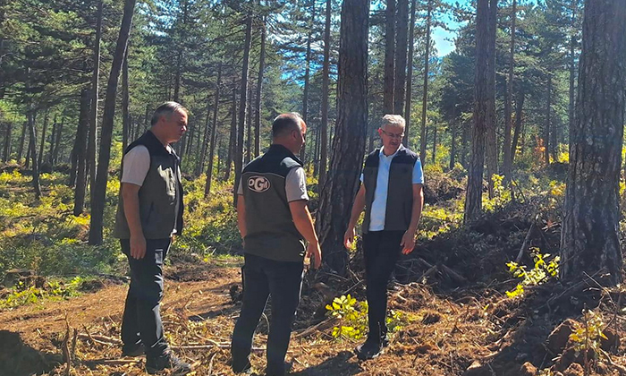 Bölge Müdürü Şentürk, Mengen’deki çalışmaları yerinde inceledi