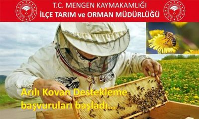Arılı Kovan Destekleme başvuruları başladı