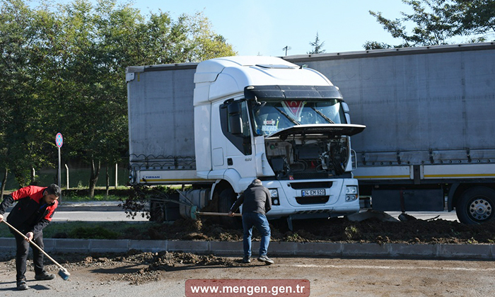 Mengen’deki kazada 1 kişi yaralandı