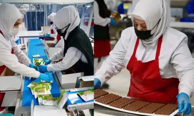 Bolu’nun Çikolata Gururu: 61 Ülkeye Tatlı Yolculuk