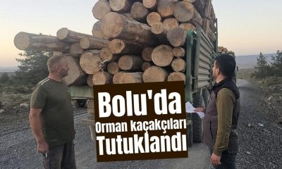 Bolu’da orman kaçakçıları tutuklandı