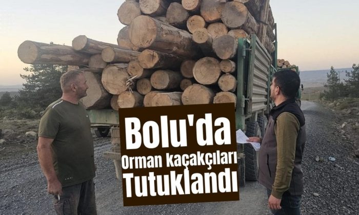 Bolu’da orman kaçakçıları tutuklandı