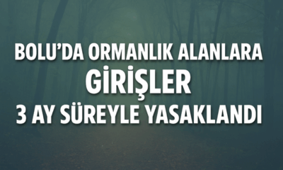 Bolu’da Ormanlık Alanlara Girişler 3 Ay Süreyle Yasaklandı