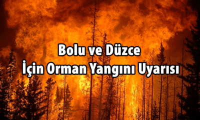 Bolu ve Düzce İçin Orman Yangını Uyarısı